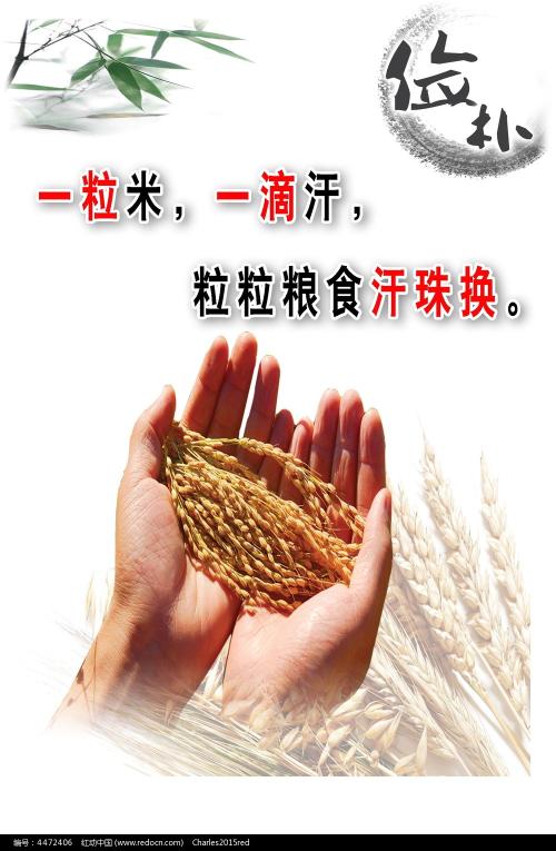 千葉商科大学 Market Development Degrees